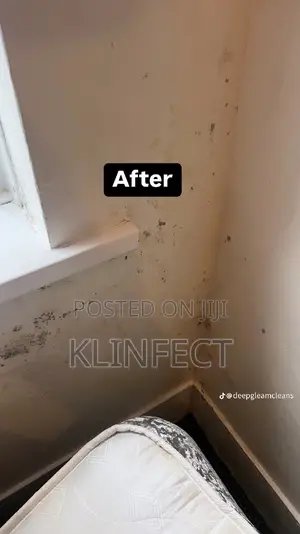 Professional and Perfect and Deep Cleaning