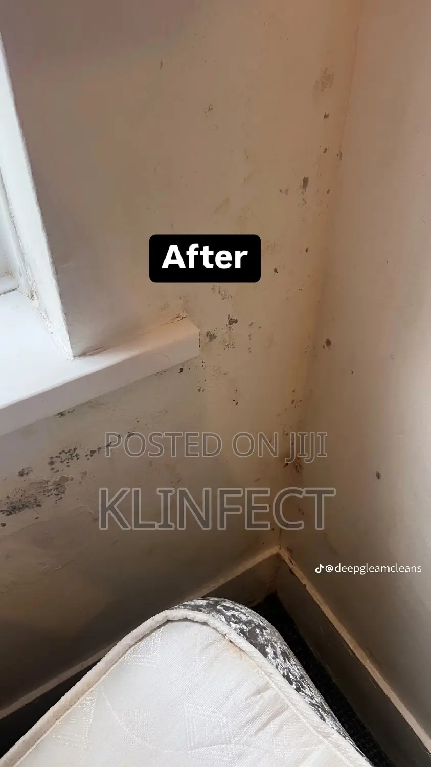 Professional and Perfect and Deep Cleaning