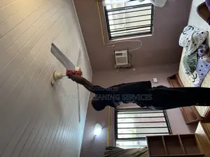 Deep Nd Detailed Cleaning