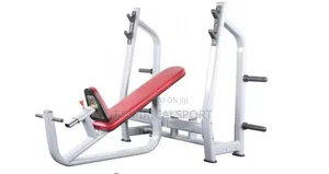 Commercial Olympic Weight Bench