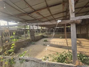 800sqm Mixed-Use Land at Kabusa
