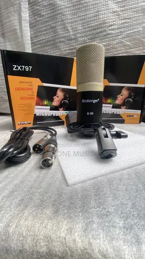 Condenser Studio Mic Birdsinger B-99