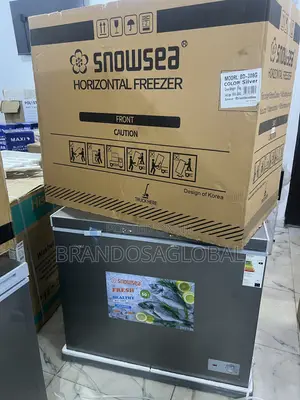 Snowsea Bd-308 220l Freezer With Commercial-Grade Cooling