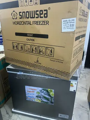Snowsea Bd-308 220l With Frost-Friendly Design