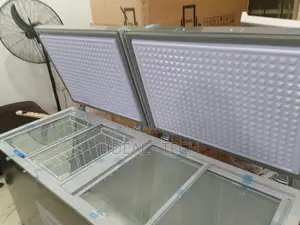 Low Noise Snowsea Deep Freezer Bd-700