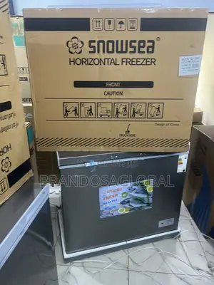 Snowsea 220l Bd-308 Deep Freezer With Anti-rust Body