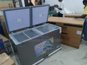 Snowsea Bd600g 420l Freezer – High Capacity, Low Noise