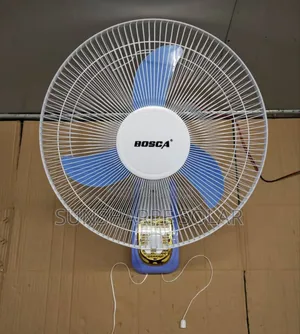 Ac Dc Wall Fan