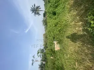 One Plot of Land at Ibadan Road at the Back of Deploy Ile Ife