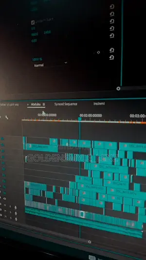 Video Editing Service