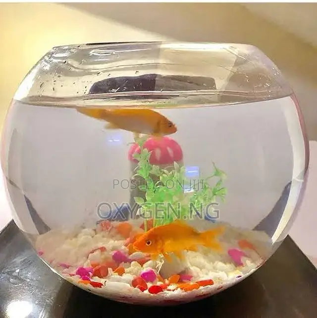 Aquarium Fish Bowl