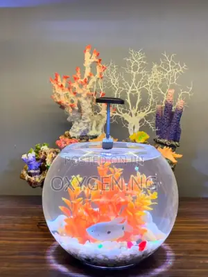 Aquarium Fish Bowl