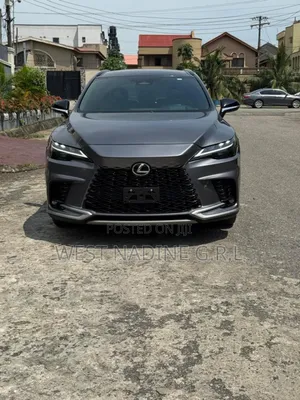 Lexus RX 2023 Gray