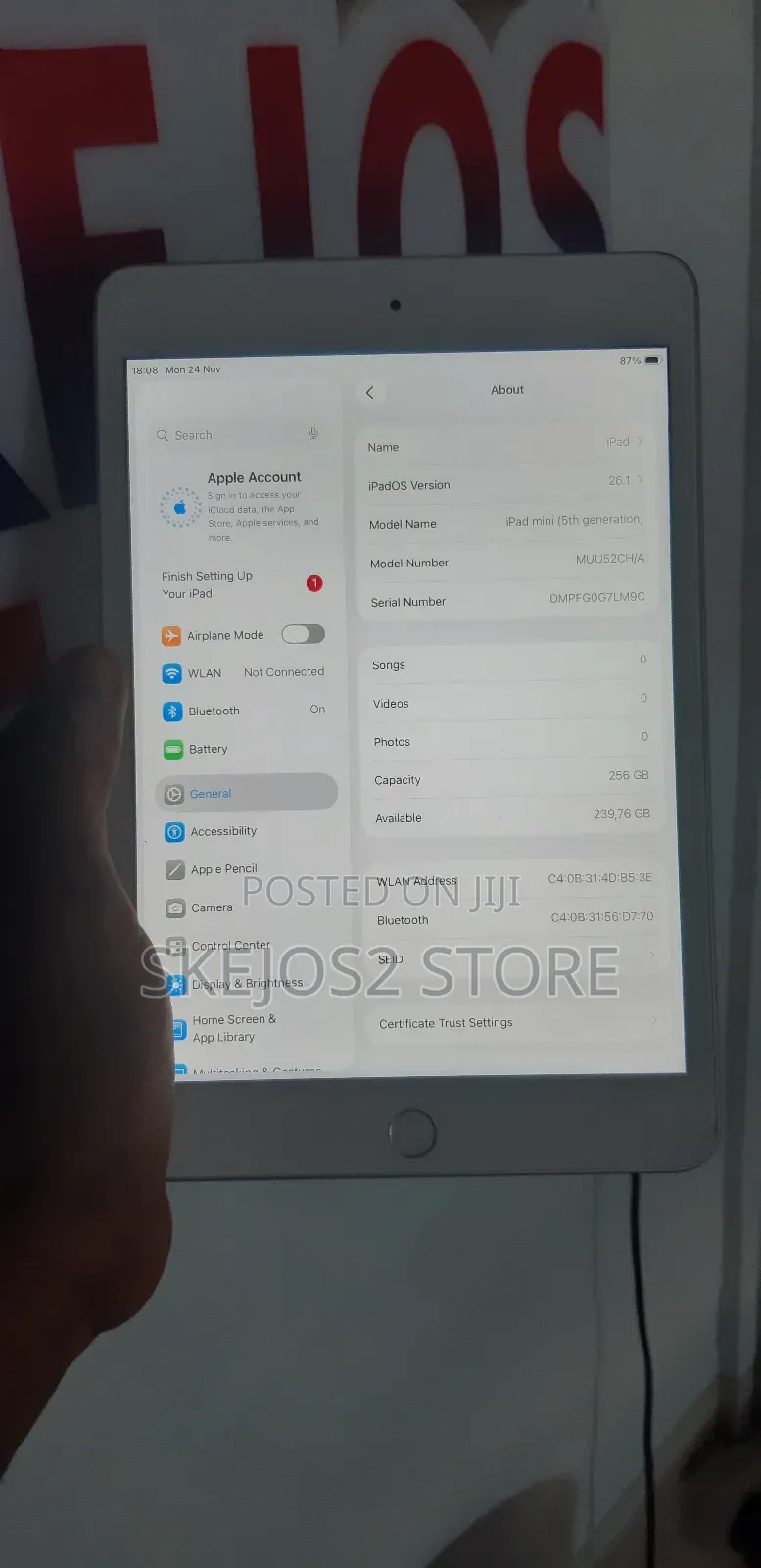 Apple iPad mini 5 256 GB Silver