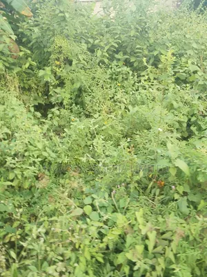 Land Available for Sale