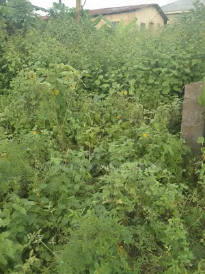Land Available for Long Lease