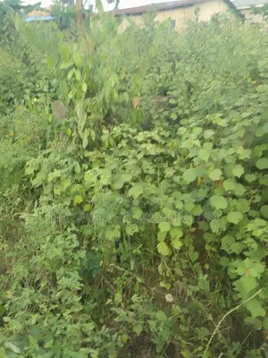 Land Up for Lease at Admiralty Way