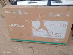 Hisense 55 Inch Smart Television