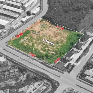 1.19 Hectares Commercial Land at Karmu