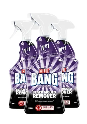 Bang Mould Remover