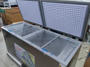 Big Snowsea Bd-700 Freezer for Restaurant/Bar