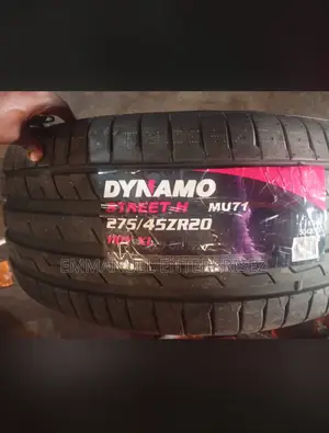 275/45r20 Dynamo Tire