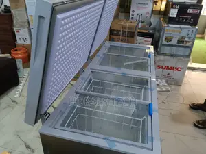Snowsea Bd-700 Freezer High-Efficiency Compressor