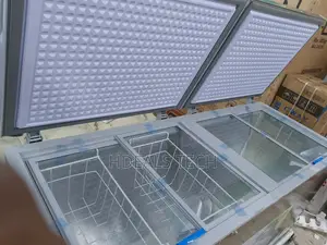 Snowsea Bd-700 Wide Voltage Deep Freezer Reliable