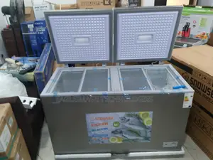 Snowsea 420l Energy-Efficient Dual-Door Chest Freezer - Preserve Foods