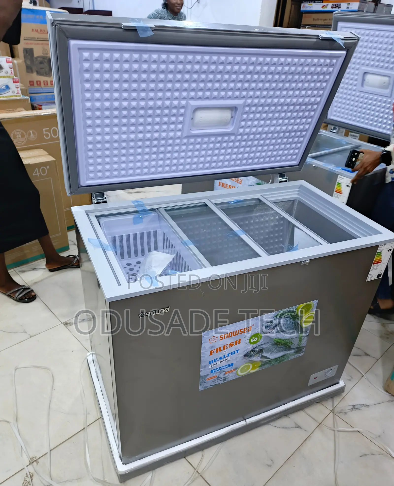 Snowsea Bd-308 Deep Freezer 200l