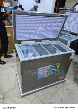 Snowsea 200l Freezer Bd-308