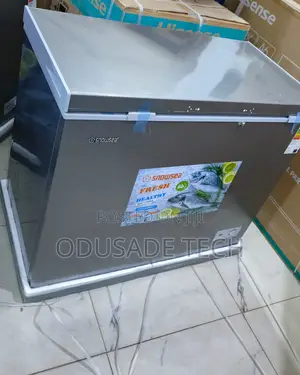 Snowsea Bd-308 200l Deep Freezer With Lock Basket