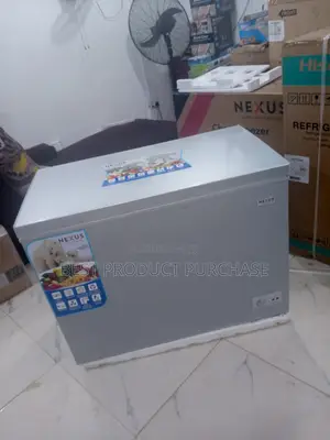 Nexus Nx-400g 400 Liters Chest Freezer – Energy Efficient + Key
