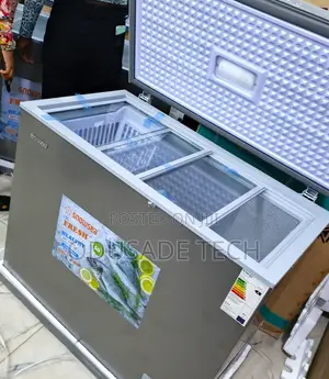 Snowsea 200l Deep Freezer Bd-308 for Frozen Food Storage