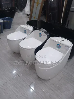 Unique Shape Water Closet