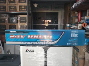 2.5kwh 24v Lithium Battery LGP