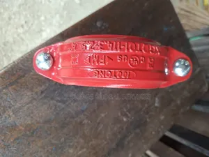 4" Vitaulic Clamp