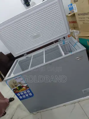 Nexus 300l Deep Freezer – Temperature Control