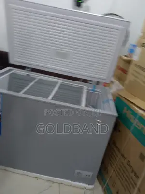 Nexus 300l Deep Freezer – Heavy-Duty Storage