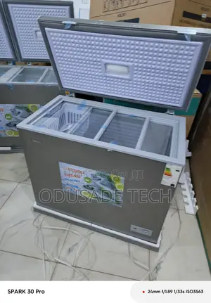 Snowsea Bd-308 Durable 200l Deep Freezer for Business