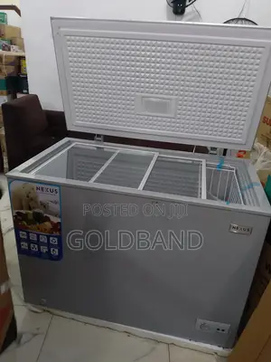 Nexus 300l Deep Freezer – High Capacity
