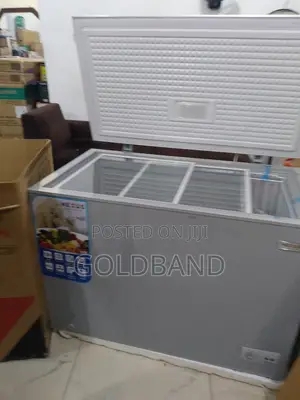 Nexus 300l Chest Freezer – Efficient Deep Freezer