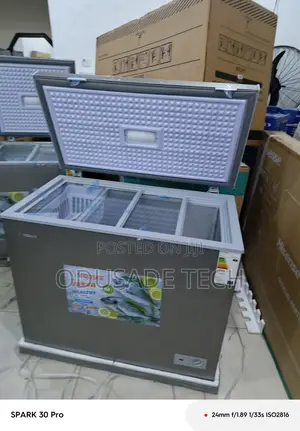 Snowsea 200l Deep Freezer Bd-308 for Home Use