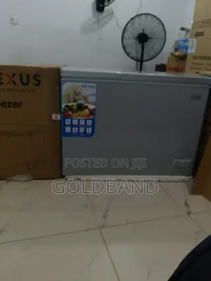 Nexus 300l Deep Freezer – Frozen Food Storage