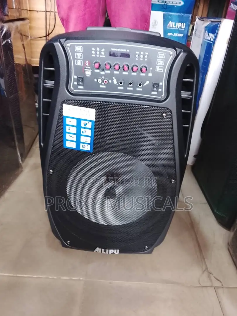 Ailipu Pa System 15” With 2 Microphones