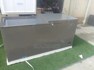 Hisense 500l Freezer – Heavy-Duty Ff66-6c
