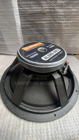 Naked Speaker Inches Omax