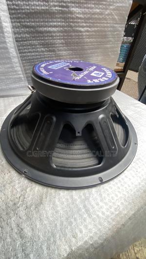 15 Inches Naked Speaker Iron Body