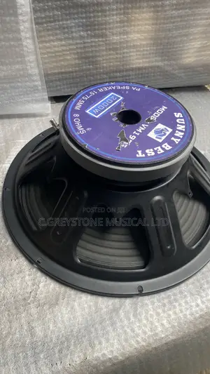 15 Inches Naked Speaker Iron Body