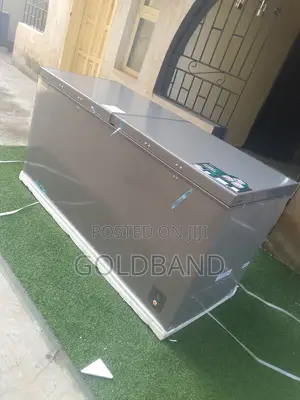 Hisense Ff66-6c Large Capacity Freezer